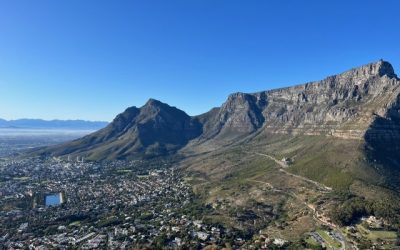 The Green Mamba: Leaving Home Without Letting Go