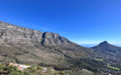 The Value of Independence